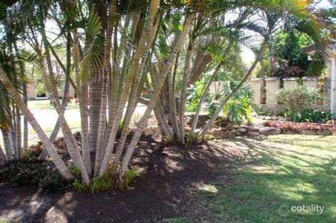 Property photo of 6 Krambruk Street Sunnybank QLD 4109