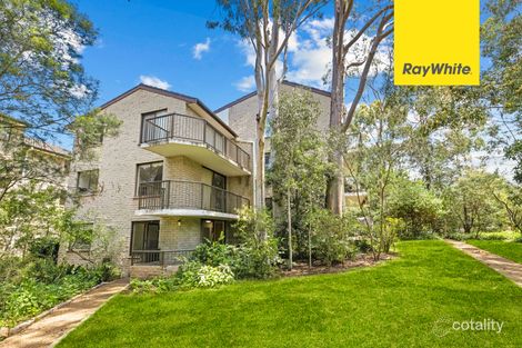 Property photo of 7/205 Waterloo Road Marsfield NSW 2122