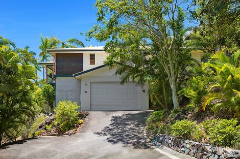 Property photo of 31 Lindeman Avenue Buderim QLD 4556
