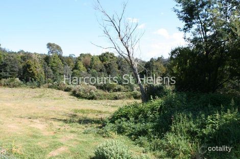 Property photo of 29871 Tasman Highway Weldborough TAS 7264