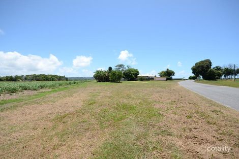 1/579 Mossman Daintree Rd, Miallo, QLD 4873