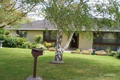 Property photo of 13 Campbell Street Millicent SA 5280