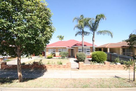 Property photo of 6 Sabre Street Netley SA 5037