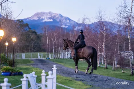 Property photo of 49 Tasman Road Grove TAS 7109
