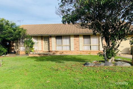 Property photo of 3 Cullen Place Minto NSW 2566