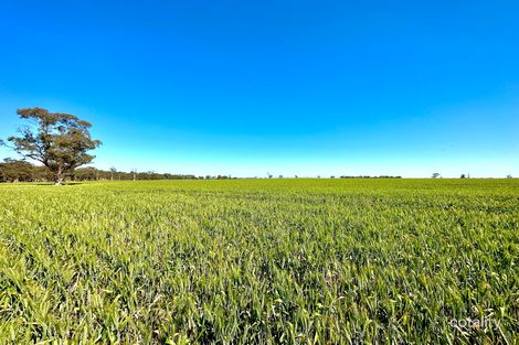 1924 Rowney Rd, Buckingham, SA 5270