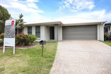 38 Elderflower Cct, Griffin, QLD 4503