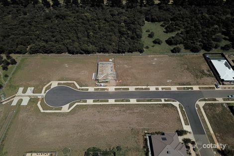 13 Whipbird Way, St Leonards, VIC 3223