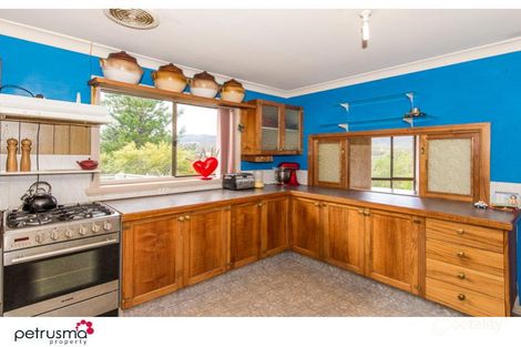 Property photo of 1434 Boyer Road Boyer TAS 7140
