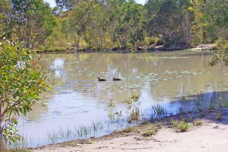 Property photo of 72 Streeter Drive Agnes Water QLD 4677