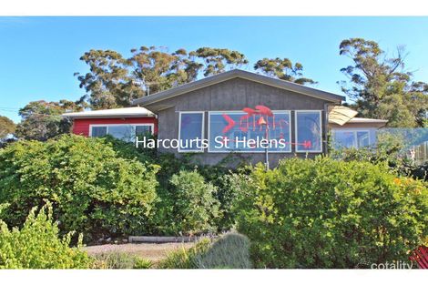 25596 Tasman Hwy, St Helens, TAS 7216