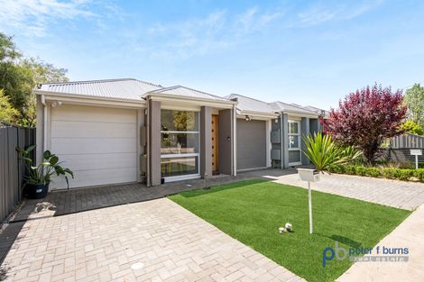 14 Byard Tce, Mitchell Park, SA 5043