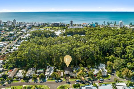 Property photo of 63 Oloway Crescent Alexandra Headland QLD 4572