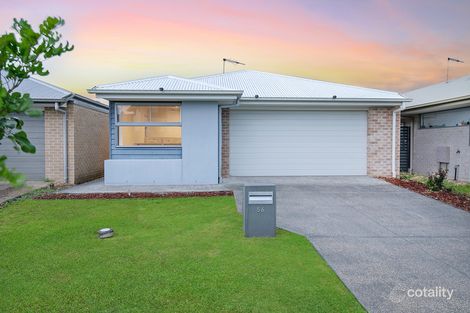 56 Harvey Cct, Griffin, QLD 4503