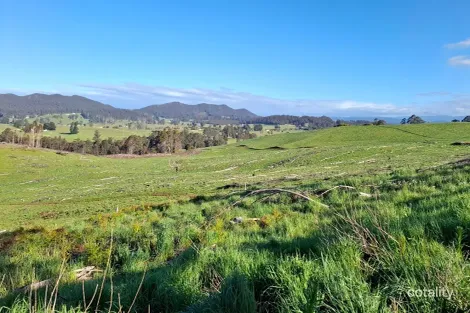 Weeks Rd, Barrington, TAS 7306