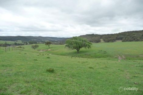 Property photo of 4175 Pinkett Road Red Range NSW 2370