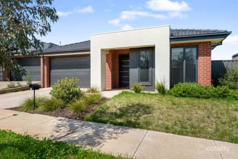 30 Ambervue Dr, Cobblebank, VIC 3338