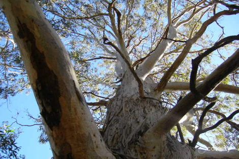 60 Retschlag Rd, Sandy Creek, QLD 4515