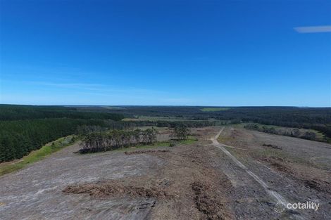 1675 Tomahawk Creek Rd, Irrewillipe, VIC 3249