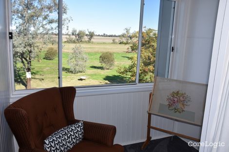 Property photo of 45 Sunlong Crescent Moree NSW 2400