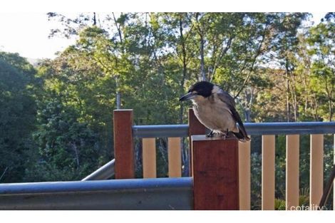 Property photo of 79 Marroo Road Brooloo QLD 4570