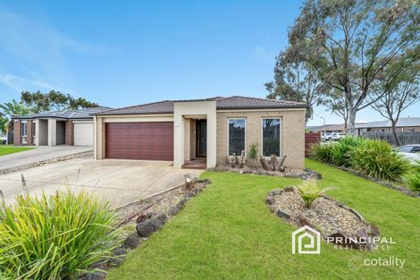 Property photo of 19 Nobel Drive Cranbourne West VIC 3977