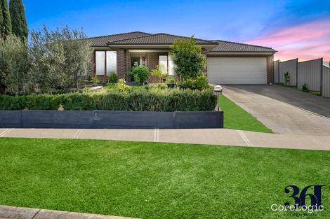 Property photo of 12 Cootamundra Circuit Harkness VIC 3337