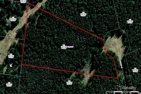 Lot 243 Radiata Cl, Sugarloaf, QLD 4380