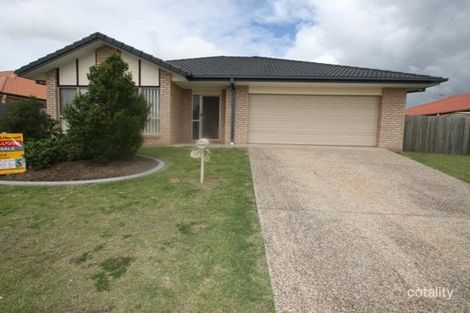 13 Goldcrest Dr, Upper Coomera, QLD 4209