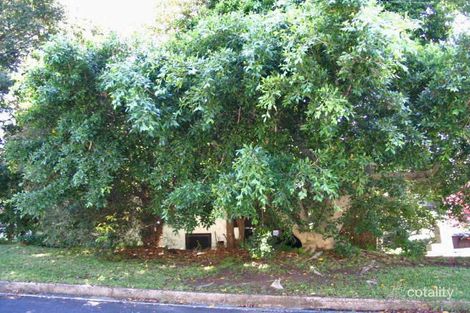 37 Rose Pde, Mount Pleasant, NSW 2519