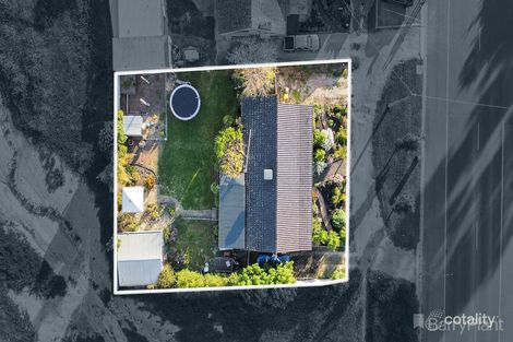 Property photo of 23 Sparrowhawk Road Long Gully VIC 3550