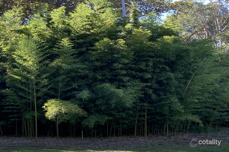 Property photo of 69 Windsor Road Norwest NSW 2153