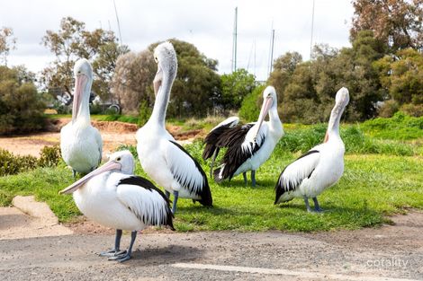Property photo of 23 Railway Crescent Hastings VIC 3915