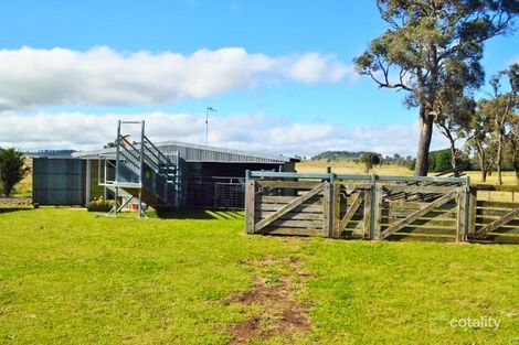 1 Albert St, Falconer, NSW 2365