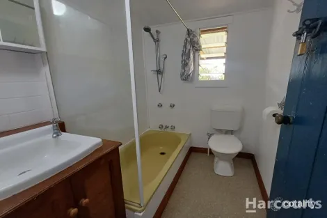 Property photo of 24 Milzewski Street Tuan QLD 4650