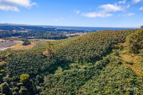 Property photo of LOT 1 Greys Road Woolgoolga NSW 2456