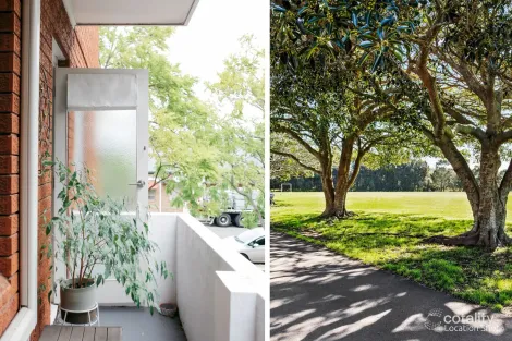 Property photo of 1/60 Kenneth Road Manly Vale NSW 2093