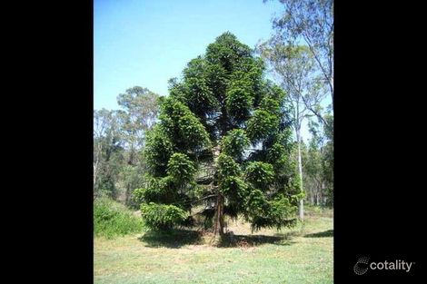 Property photo of 30 Wickham Road Wolffdene QLD 4207
