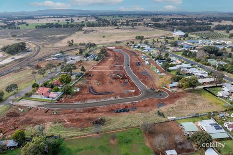 17 Millennium Ct, Gulgong, NSW 2852