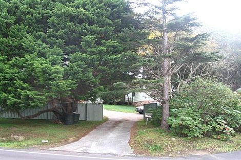 305 Terrigal Dr, Erina, NSW 2250