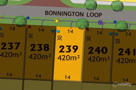 14 Bonnington Loop, Madora Bay, WA 6210