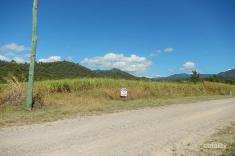 Property photo of 549 Warrami Road Warrami QLD 4854