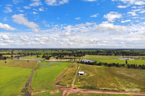 529 Napiers Rd, Piney Range, NSW 2810