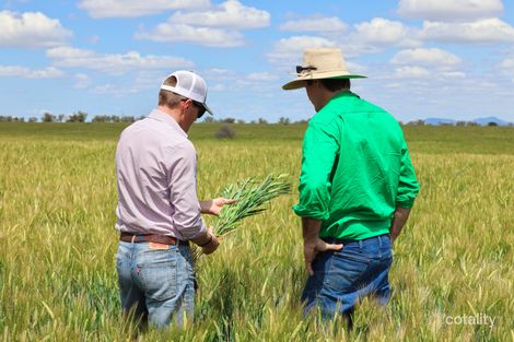 2484 Wean Rd, Wean, NSW 2382