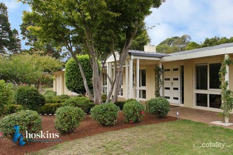 Property photo of 59-61 Williams Road Park Orchards VIC 3114