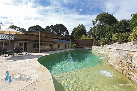 Property photo of 59-61 Williams Road Park Orchards VIC 3114