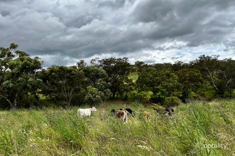 7690 New England Hwy, Willow Tree, NSW 2339