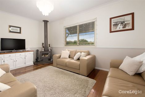 Property photo of 36 Weatherhead Avenue Ashgrove QLD 4060