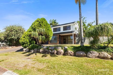 Property photo of 16 Mingoola Street Murarrie QLD 4172