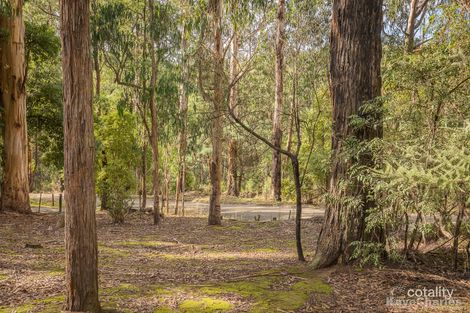 Property photo of 6 Suffolk Avenue Cockatoo VIC 3781